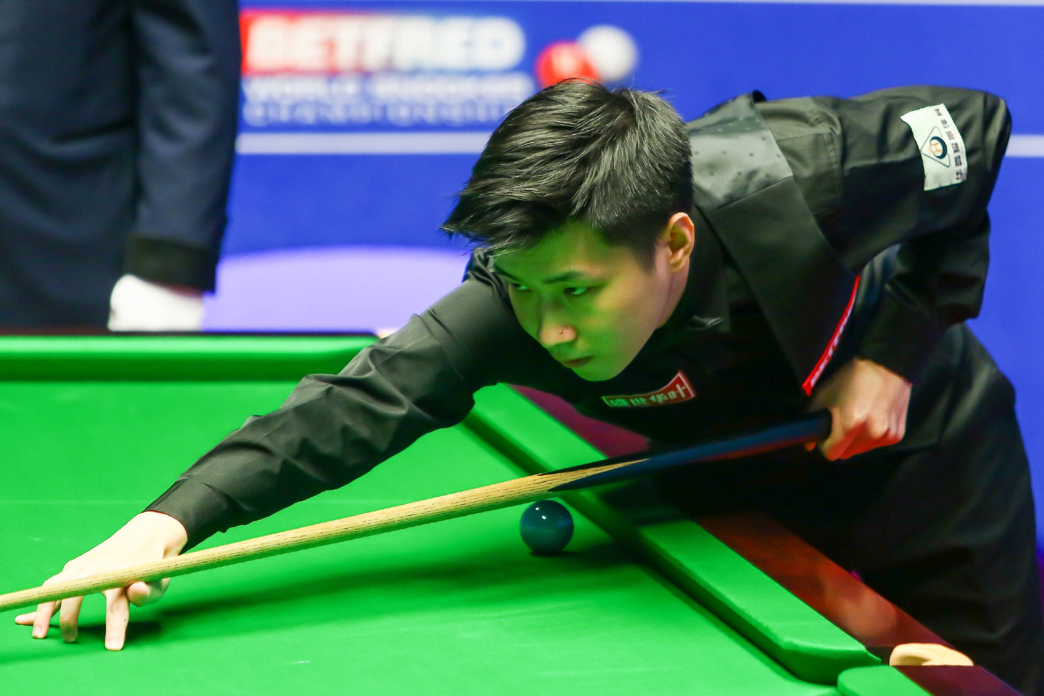 个人职业生 个人职业生