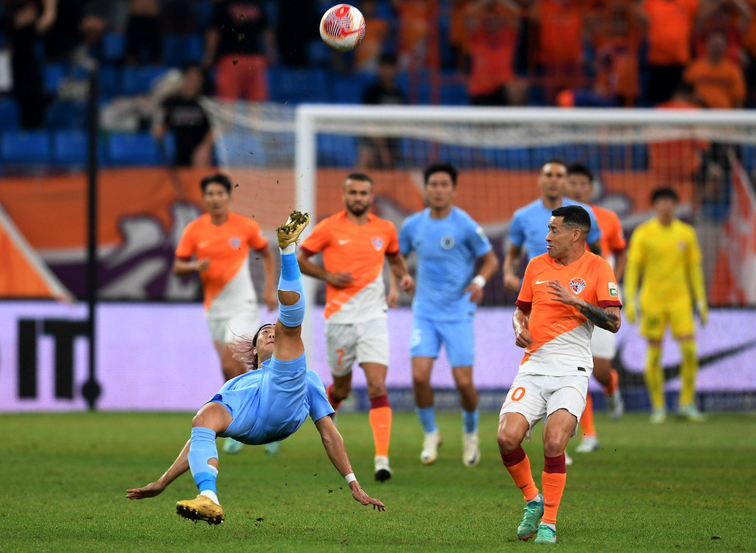 辅以分析师 辅以分析师