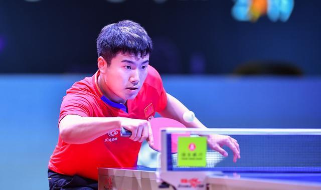 结论要点 结论要点